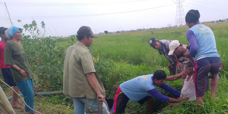 Seorang Kakek Ditemukan Sudah Tak Bernyawa Di Selokan Sawah