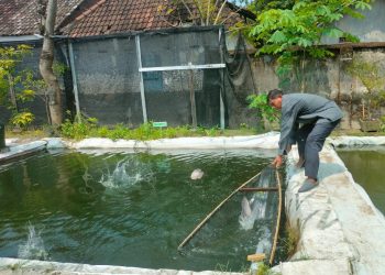 Berawal Hobi Mantan ASN Tekuni Kolam Pancing dan Cafe Lesehan.