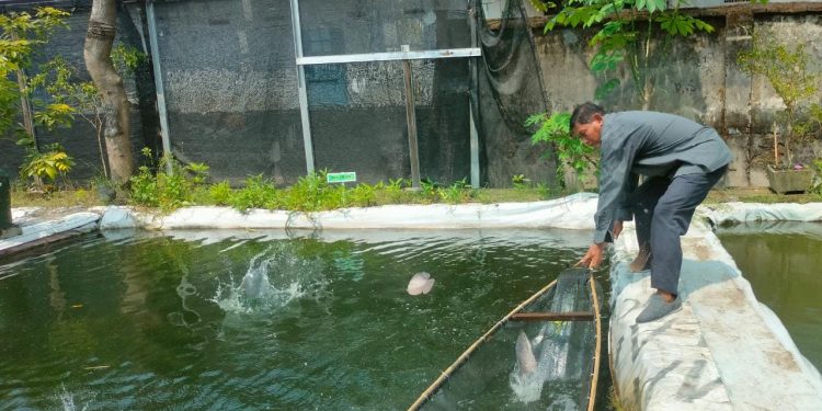 IMG-20220330-WA0043 - Deteksi Jaya Berawal Hobi Mantan ASN Tekuni Kolam Pancing dan Cafe Lesehan.