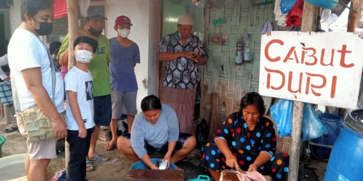 Tekun dan Telaten, Delapan Tahun&nbsp; Cabut Duri Bantu Perekonomian Keluarga.