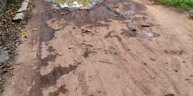 IMG-20220420-WA0023 - Deteksi Jaya Warga Desa Sidadadi Keluhkan Jalan Rusak