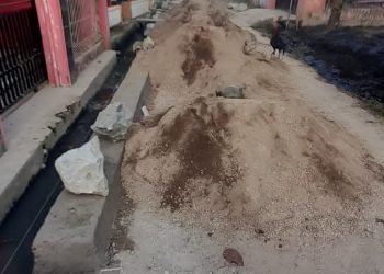 Ketua LSM ICON RI Angkat Bicara Pelaksanaan Turap Di Saluran Rt 06/02 Desa Kampung Sawah