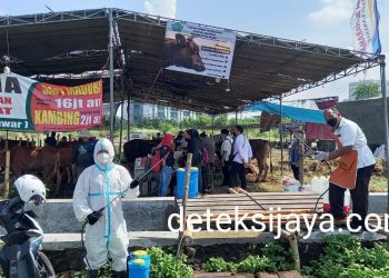 Guna Mengetahui Kelayakan Hewan Kurban, Forkopimda Bersama Dinas Pangan Survei Lapak Pedagang