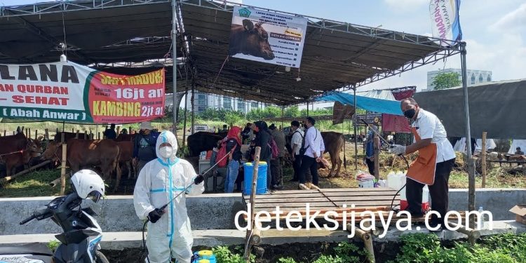 Guna Mengetahui Kelayakan Hewan Kurban, Forkopimda Bersama Dinas Pangan Survei Lapak Pedagang