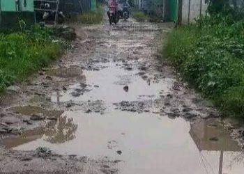Warga Desa Majasari Keluhkan Kondisi Jalan Rusak Yang Tak Kunjung Diperbaiki