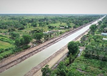 Untuk Pengembangan Food Estate 2023 Kementan Siapkan 2,3 T