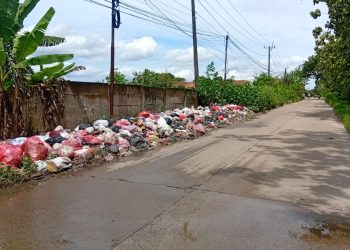 Sampah Menumpuk di Pinggir Jalan Kp Tongsan Desa junti – Jawilan, Warga Keluhkan Bau & Sampah Tumpah ke Badan Jalan