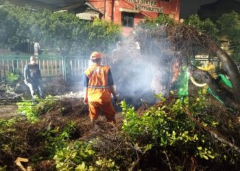 Aduan Warga via 110, Polsek Palmerah bersama Instansi Terkait Tangani Pohon Tumbang Di Ks Tubun