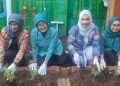 IMG-20260521-WA0003(1) - Deteksi Jaya Urban Farming Taman PKK Kelurahan Krukut Diresmikan, Walikota Jakbar Dorong Ketahanan Pangan Perkotaan