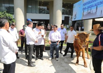 Jaksa Agung Serahkan Sapi Limousin untuk Forwaka, Baren AS: Wujud Kepedulian Insan Adhyaksa