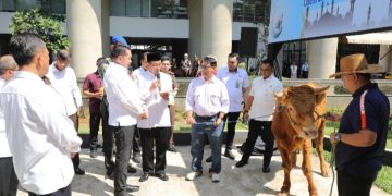Jaksa Agung Serahkan Sapi Limousin untuk Forwaka, Baren AS: Wujud Kepedulian Insan Adhyaksa