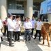 Jaksa Agung Serahkan Sapi Limousin untuk Forwaka, Baren AS: Wujud Kepedulian Insan Adhyaksa